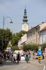  37. Lendavska trgatev